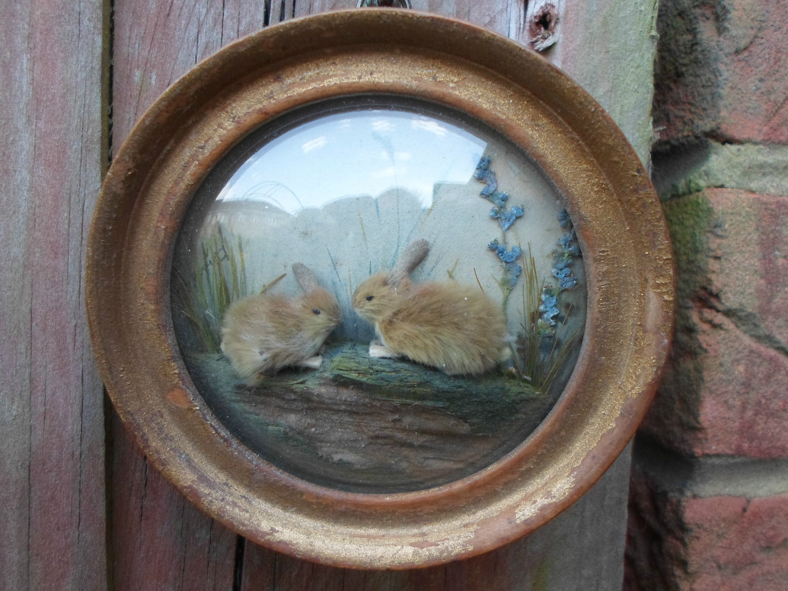 Rabbits (Version 5) (5-inch)